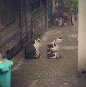 ラー子(背景専用アカ