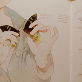YUKIO-Pockey