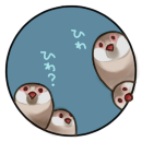 ひわ