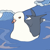 つはぶき