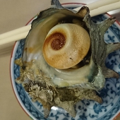 まさたか