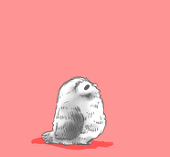 葵
