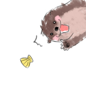 クッキー