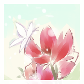 松子