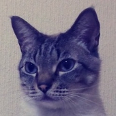 くずゆ