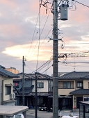 ロイヤル