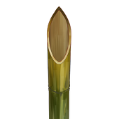 ist