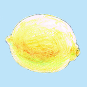 椿山はゆ