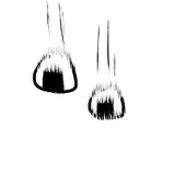 響(saji)