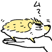 も