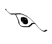 青子
