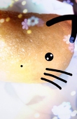 ぼたん