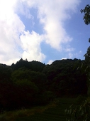 カズラ