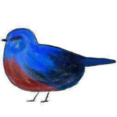 いそひよ