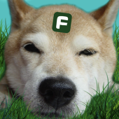funkyfunkydog