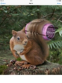 ぺけ