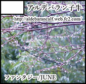 子牛