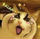 斑瞳丶PseudoCAT