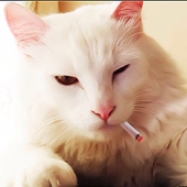 Meimi_K