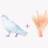 はとむぎ