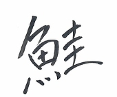ココア丸。