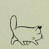 spleen