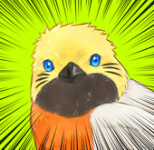 なつぼ