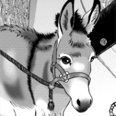 ヒサ