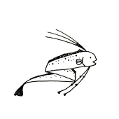 八代