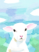 きみどり