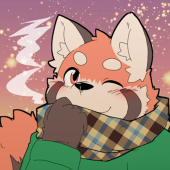 kota´