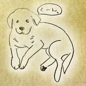 の