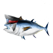 kannnaryo