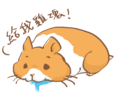 倉鼠