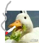 川十Lemon