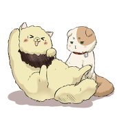 にゃも