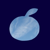 蜂蜜柚子