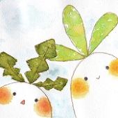 緋菜