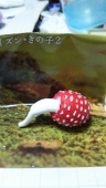リリー