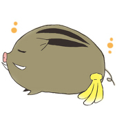 紫杏（ROM専）