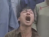 冬