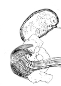 ベネディクティン