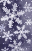 雪子