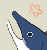 ゆお