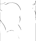 しらす星