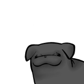 かみこ