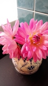 ruk_zz
