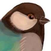 びゃっこ