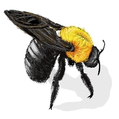 サブロウ