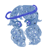 リパプ